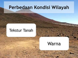 26/04/2015
Perbedaan Kondisi Wilayah
Tekstur Tanah
Warna
 