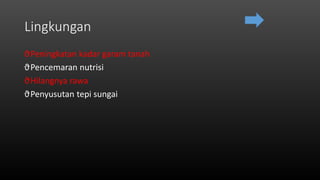 Lingkungan
ϑPeningkatan kadar garam tanah
ϑPencemaran nutrisi
ϑHilangnya rawa
ϑPenyusutan tepi sungai
 