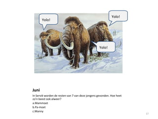 Juni
In Servië worden de resten van 7 van deze jongens gevonden. Hoe heet
zo’n beest ook alweer?
a.Mammoet
b.Pa-moet
c.Manny
17
Yolo!
Yolo!
Yolo!
 