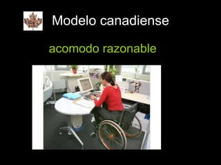 Modelo canadiense acomodo razonable 