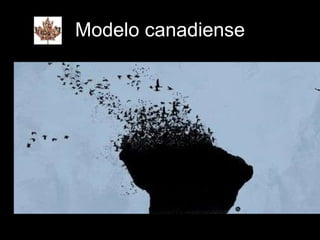 Modelo canadiense 