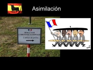 Asimilación 