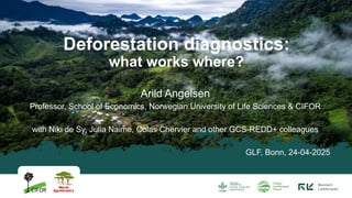 thumbnail of  Deforestation diagnostics: what works where? – GLF Forests 2025