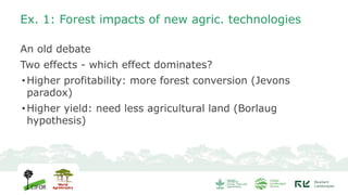 Deforestation diagnostics: what works where? – GLF Forests 2025 | PDF