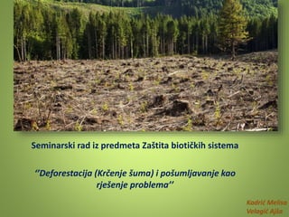 Seminarski rad iz predmeta Zaštita biotičkih sistema
‘’Deforestacija (Krčenje šuma) i pošumljavanje kao
rješenje problema’’
Kadrić Melisa
Velagić Ajša
 