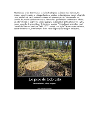 Mientras que la tala de árboles de la pluviselva tropical ha atraído más atención, los
bosques secos tropicales se están perdiendo en una tasa sustancialmente mayor, sobre todo
como resultado de las técnicas utilizadas de tala y quema para ser reemplazadas por
cultivos. La pérdida de biodiversidad se correlaciona generalmente con la tala de árboles.
La deforestación es un proceso antiguo que se ha incrementado en los últimos tres siglos,
con un promedio de seis millones de hectáreas anuales. Principalmente se produjo en el
Hemisferio Norte en los siglos XVIII y XIX, aunque en el siglo XX comenzó a realizarse
en el Hemisferio Sur, especialmente en las selvas tropicales de la región amazónica.
 