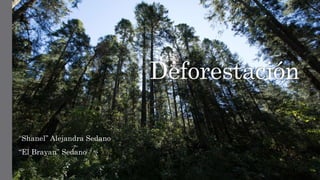 Deforestación
“Shanel” Alejandra Sedano
“El Brayan” Sedano
 