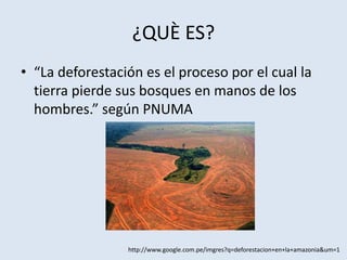 ¿QUÈ ES?
• “La deforestación es el proceso por el cual la
  tierra pierde sus bosques en manos de los
  hombres.” según PNUMA




                 http://www.google.com.pe/imgres?q=deforestacion+en+la+amazonia&um=1
 