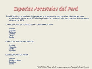 En el Perú hay un total de 195 especies que se aprovechan pero las 14 especies mas
   importantes, alcanzan el 87% de la producción nacional, mientras que las 185 restantes
   alcanzan el 12%.

LA PRODUCIÒN EN UCAYALI ESTA CONFORMADA POR:

   Tornillo
   Lupuma
   Catahua
   Cumala
   Cedro
   Caoba

LA PRODUCIÒN EN SAN MARTÌN

   Tornillo
   Higuerilla
   Caoba
   Sphingo

LA PRODUCIÒN EN JUNÌIN

   Tornillo
   Roble corriente
   Eucalipto
   Cedro
                                 FUENTE: http://tala_arbol_peru.pe.tripod.com/taladearboles/id11.html
 