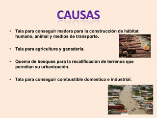 • Tala para conseguir madera para la construcción de hábitat
  humano, animal y medios de transporte.

• Tala para agricultura y ganadería.

• Quema de bosques para la recalificación de terrenos que
  permitan su urbanización.

• Tala para conseguir combustible domestico e industrial.
 