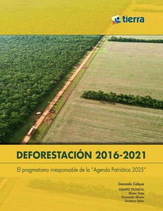 Estiman un crecimiento de la superficie destinada al maíz y el girasol con cifras récord para ambos cultivos – Diario Río Negro