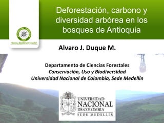 Deforestación, carbono y
          diversidad arbórea en los
            bosques de Antioquia

           Alvaro J. Duque M.

     Departamento de Ciencias Forestales
       Conservación, Uso y Biodiversidad
Universidad Nacional de Colombia, Sede Medellín
 