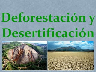 Deforestación y 
Desertificación 
 