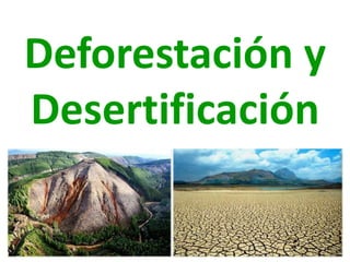 Deforestación y
Desertificación
 