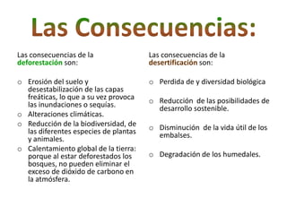 Las consecuencias de la                Las consecuencias de la
deforestación son:                     desertificación son:

o Erosión del suelo y                  o Perdida de y diversidad biológica
  desestabilización de las capas
  freáticas, lo que a su vez provoca   o Reducción de las posibilidades de
  las inundaciones o sequías.            desarrollo sostenible.
o Alteraciones climáticas.
o Reducción de la biodiversidad, de    o Disminución de la vida útil de los
  las diferentes especies de plantas     embalses.
  y animales.
o Calentamiento global de la tierra:
  porque al estar deforestados los     o Degradación de los humedales.
  bosques, no pueden eliminar el
  exceso de dióxido de carbono en
  la atmósfera.
 