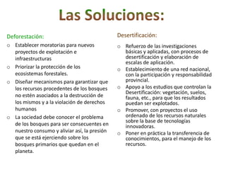 Deforestación:                                Desertificación:
o Establecer moratorias para nuevos           o Refuerzo de las investigaciones
  proyectos de explotación e                    básicas y aplicadas, con procesos de
  infraestructuras                              desertificación y elaboración de
                                                escalas de aplicación.
o Priorizar la protección de los              o Establecimiento de una red nacional,
  ecosistemas forestales.                       con la participación y responsabilidad
o Diseñar mecanismos para garantizar que        provincial.
  los recursos procedentes de los bosques     o Apoyo a los estudios que controlan la
                                                Desertificación: vegetación, suelos,
  no estén asociados a la destrucción de        fauna, etc., para que los resultados
  los mismos y a la violación de derechos       puedan ser explotados.
  humanos                                     o Promover, con proyectos el uso
o La sociedad debe conocer el problema          ordenado de los recursos naturales
                                                sobre la base de tecnologías
  de los bosques para ser consecuentes en       innovadoras.
  nuestro consumo y aliviar así, la presión   o Poner en práctica la transferencia de
  que se está ejerciendo sobre los              conocimientos, para el manejo de los
  bosques primarios que quedan en el            recursos.
  planeta.
 