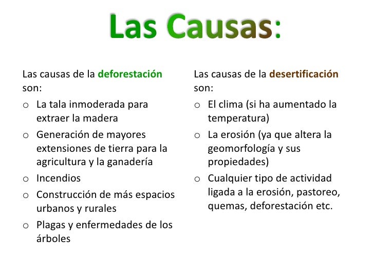 Deforestación y desertificación