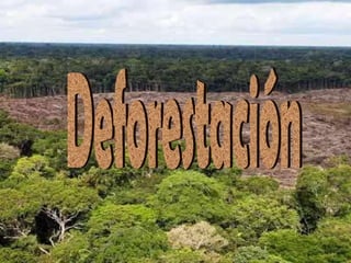 Deforestación 