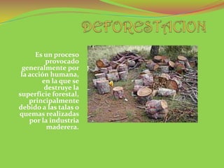 Es un proceso
         provocado
 generalmente por
 la acción humana,
        en la que se
         destruye la
superficie forestal,
    principalmente
debido a las talas o
quemas realizadas
    por la industria
          maderera.
 