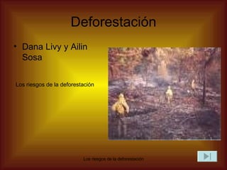 Deforestación ,[object Object],Los riesgos de la deforestación  
