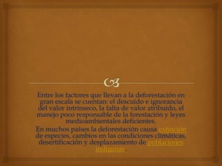 Entre los factores que llevan a la deforestación en
gran escala se cuentan: el descuido e ignorancia
del valor intrínseco, la falta de valor atribuido, el
manejo poco responsable de la forestación y leyes
medioambientales deficientes.
En muchos países la deforestación causa extinción
de especies, cambios en las condiciones climáticas,
desertificación y desplazamiento de poblaciones
indígenas.
 