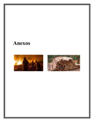 Anexos
 
