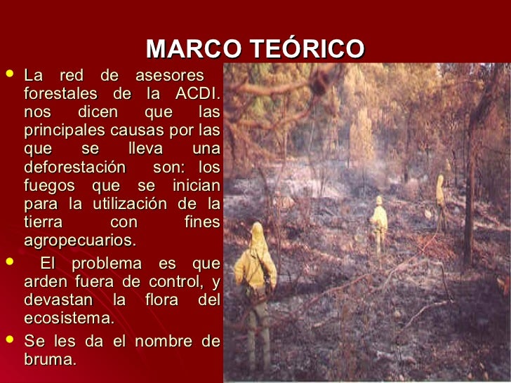 Deforestacion