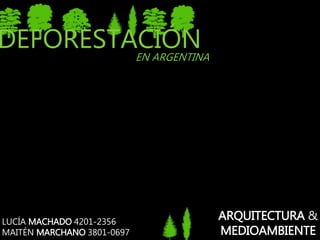 LUCÍA MACHADO 4201-2356
MAITÉN MARCHANO 3801-0697
ARQUITECTURA &
MEDIOAMBIENTE
DEFORESTACIÓNEN ARGENTINA
 