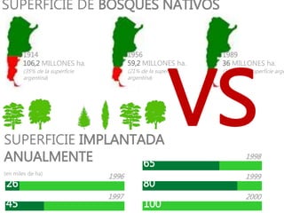 26
45
65
80
100
SUPERFICIE IMPLANTADA
ANUALMENTE
(en miles de ha)
1996
1997
1998
1999
2000
1956
59,2 MILLONES ha.
(21% de la superficie
argentina)
1989
36 MILLONES ha.
(12% de la superficie arge
1914
106,2 MILLONES ha.
(35% de la superficie
argentina)
SUPERFICIE DE BOSQUES NATIVOS
VS
 