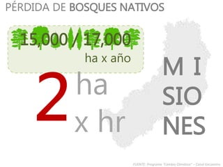 M I
SIO
NES
15,000 / 17,000
ha x año
ha
x hr
PÉRDIDA DE BOSQUES NATIVOS
FUENTE: Programa “Cambio Climático” – Canal Encuentro
 