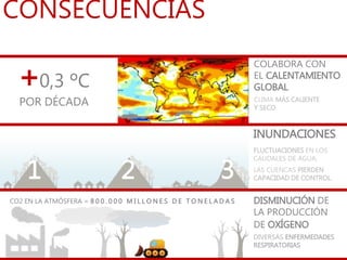 CONSECUENCIAS
INUNDACIONES
FLUCTUACIONES EN LOS
CAUDALES DE AGUA.
LAS CUENCAS PIERDEN
CAPACIDAD DE CONTROL.1 2 3
CO2 EN LA ATMÓSFERA = 8 0 0 . 0 0 0 M I L L O N E S D E T O N E L A D A S DISMINUCIÓN DE
LA PRODUCCIÓN
DE OXÍGENO
DIVERSAS ENFERMEDADES
RESPIRATORIAS
COLABORA CON
EL CALENTAMIENTO
GLOBAL
CLIMA MÁS CALIENTE
Y SECO.
0,3 ºC+
POR DÉCADA
 