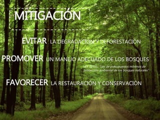 MITIGACIÓN
EVITAR LA DEGRADACIÓN Y DEFORESTACIÓN
LEY 29331: “Ley de presupuestos mínimos de
protección ambiental de los bosques naturales”
PROMOVER UN MANEJO ADECUADO DE LOS BOSQUES
FAVORECER LA RESTAURACIÓN Y CONSERVACIÓN
 