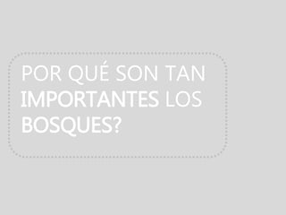 POR QUÉ SON TAN
IMPORTANTES LOS
BOSQUES?
 