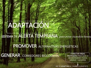 ADAPTACIÓN
SISTEMA DE ALERTA TEMPRANA (para evitar incendios foresta
CONECTAR ÁREAS
PROTEGIDAS PARA QUE LA
BIODIVERSIDAD PUEDA
MIGRAR Y MOVERSE
ASÍ SE ADAPTAN AL CAMBIO CLIMÁTICO
PROMOVER ALTERNATIVAS ENERGÉTICAS
GENERAR CORREDORES BIOLÓGICOS
 