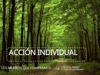 ACCIÓN INDIVIDUAL
LOS MUEBLES QUE COMPRAMOS CUÁL ES SU ORIGEN?
ES MADERA CERTIFICADA?
 