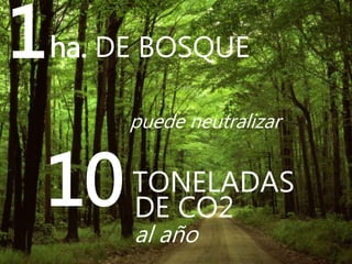 puede neutralizar
1ha. DE BOSQUE
10DE CO2
TONELADAS
al año
 