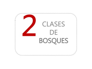 CLASES
DE
BOSQUES
 