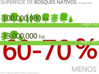 SUPERFICIE DE BOSQUES NATIVOS (en Argentina)
60-70%
100,000,000 ha
siglo XX
33,000,000 ha
siglo XXI
MENOSFUENTE: Programa “Cambio Climático” – Canal Encuentro
 