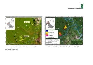 Sociedad Peruana de Ecodesarrollo

Deforestación de Bosques Primarios de Nueva Requena 2011
Fuente: Finner, M. & S. Novoa, 2013.

Deforestación de Bosques Primarios en Nueva Requena 2012 - 2013

 