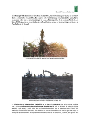 Sociedad Peruana de Ecodesarrollo

cuantiosa pérdida de recursos forestales maderables, no maderables y de fauna, así como en
daños ambientales irreversibles. De acuerdo a los testimonios y denuncias de los agricultores
afectados, estos fueron amenazados por el personal de seguridad de la empresa Plantaciones
Ucayali SAC, quienes se encontraban armados, tal como consta en la denuncia presentada a la
Fiscalía Penal de Ucayali.

Personal de Seguridad de la empresa Plantaciones Ucayali SAC

Maquinaria de la empresa Plantaciones Ucayali SAC

La Disposición de Investigación Preliminar N° 01-2013-FPEMA-MP-U, de fecha 10 de julio de
2013, dispone Abrir Investigación Preliminar en sede Fiscal, por el término de 60 días contra
Alfredo César Rivera Loarte y los que resulten responsables por el presunto delito contra los
árboles y formaciones boscosas , por el delito de utilización indebida de tierras agrícolas y por el
delito de responsabilidad de los representantes legales de las personas jurídicas, en agravio del

 