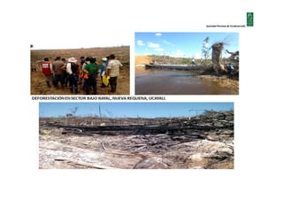 Sociedad Peruana de Ecodesarrollo

 