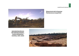 Sociedad Peruana de Ecodesarrollo

 