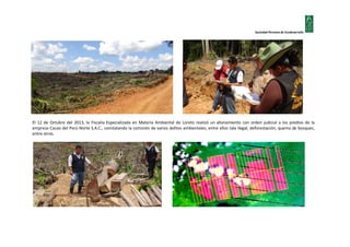 Sociedad Peruana de Ecodesarrollo

El 12 de Octubre del 2013, la Fiscalía Especializada en Materia Ambiental de Loreto realizó un allanamiento con orden judicial a los predios de la
empresa Cacao del Perú Norte S.A.C., constatando la comisión de varios delitos ambientales, entre ellos tala ilegal, deforestación, quema de bosques,
entre otros.

 