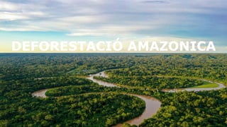 DEFORESTACIÓ AMAZONICA
1
 