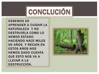 DEBEMOS DE
APRENDER A CUIDAR LA
NATURALEZA Y NO
DESTRUIRLA COMO LO
HEMOS ESTADO
HACIENDO HACE MILES
DE AÑOS Y RECIEN EN
ESTOS AÑOS NOS
HEMOS DADO CUENTA
QUE ESTO NOS VA A
LLEVAR A LA
DESTRUCCIÓN.

 