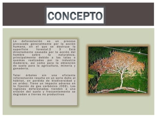 La
deforestación
es
un
proceso
provocado generalmente por la acción
h u m a n a , e n e l q u e s e d e s t r u ye l a
superficie
forestal.2
3
Está
directamente causada por la acción del
hombre
sobre
la
naturaleza,
principalmente debido a las talas o
quemas realizadas por la industria
maderera, así como para la obtención
de suelo para la agricultura, minería y
ganadería.
Ta l a r
árboles
sin
una
eficiente
reforestación resulta en un serio daño al
hábitat, en perdida de biodiversidad y
en aridez. Tiene un impacto adverso en
la fijación de gas carbónico (CO2). Las
regiones deforestadas tienden a una
erosión del suelo y frecuentemente se
degradan a tierras no productivas

 