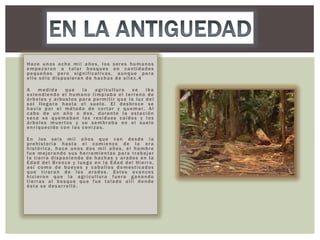 Hace unos ocho mil años, los seres humanos
empezaron a talar bosques en cantidades
pequeñas pero significativas, aunque para
ello sólo dispusieran de hachas de sílex.4
A
medida
que
la
agricultura
se
iba
extendiendo el humano limpiaba el terreno de
árboles y arbustos para permitir que la luz del
sol llegara hasta el suelo. El desbroce se
hacía por el método de cortar y quemar. Al
cabo de un año o dos, durante la estación
seca se quemaban los residuos caídos y los
árboles muertos y se sembraba en el suelo
enriquecido con las cenizas.
En los seis mil años que van desde la
prehistoria hasta el comienzo de la era
histórica, hace unos dos mil años, el hombre
fue mejorando sus herramientas para trabajar
la tierra disponiendo de hachas y arados en la
Edad del Bronce y luego en la Edad del Hierro,
así como de bueyes y caballos domesticados
que tiraran de los arados. Estos avances
hicieron que la agricultura fuera ganando
tierras al bosque que fue talado allí donde
ésta se desarrolló.

 
