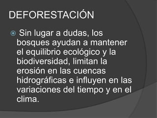 DEFORESTACIÓN Sin lugar a dudas, los bosques ayudan a mantener el equilibrio ecológico y la biodiversidad, limitan la erosión en las cuencas hidrográficas e influyen en las variaciones del tiempo y en el clima.