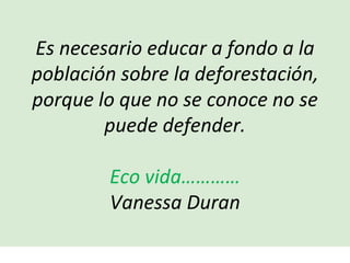 Es necesario educar a fondo a la población sobre la deforestación, porque lo que no se conoce no se puede defender. Eco vida………… Vanessa Duran 