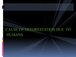 CAUSE OF DEFORESTATION DUE TO
HUMANS
 